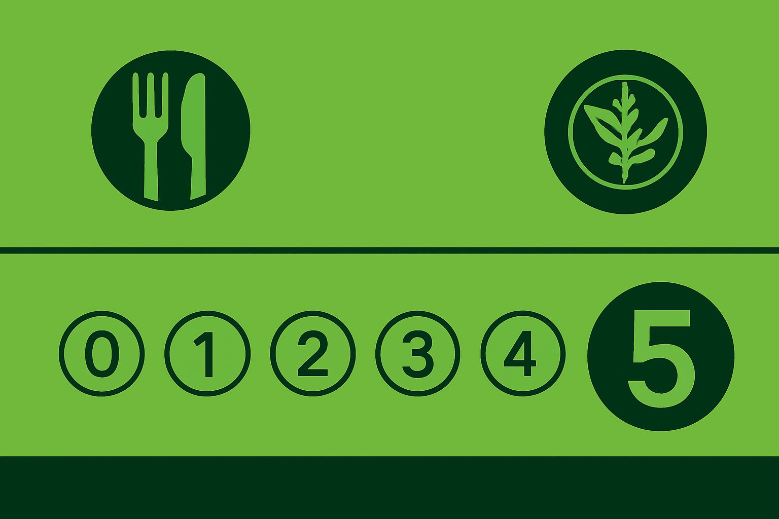 Food hygiene rating of 5